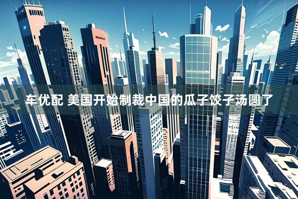 车优配 美国开始制裁中国的瓜子饺子汤圆了